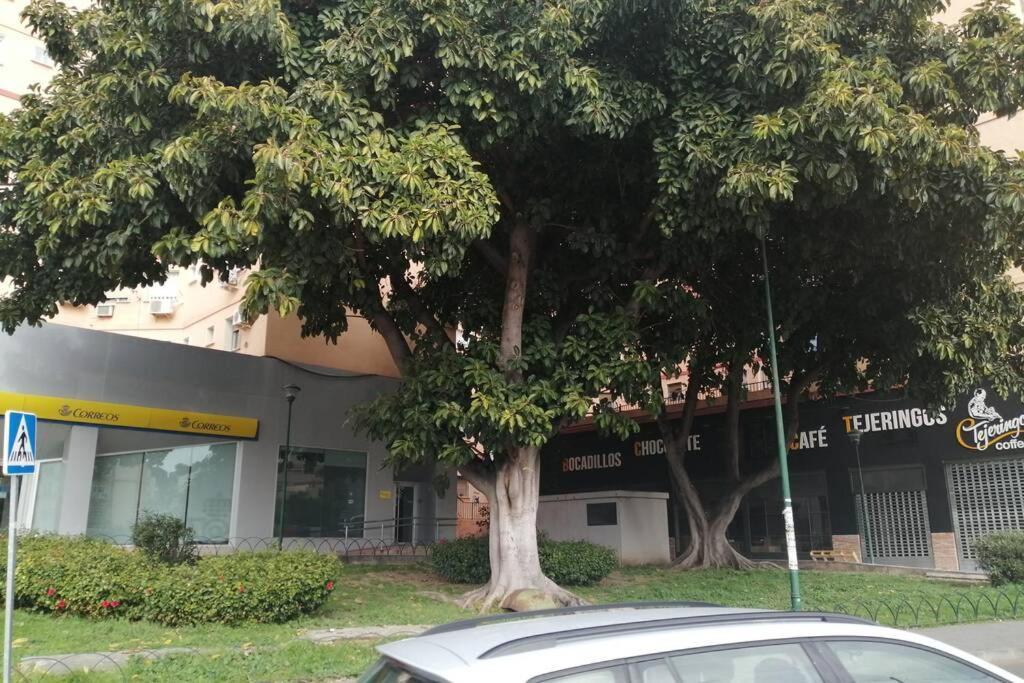 Confortable Y Luminoso Piso 5 Camas Malaga Ngoại thất bức ảnh